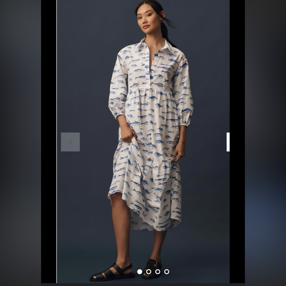 Anthropologie Blue and White Long Sleeve Dress